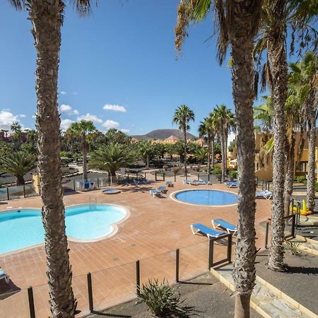 Lightbooking Oasis Royal Corralejo F311 Exteriör bild