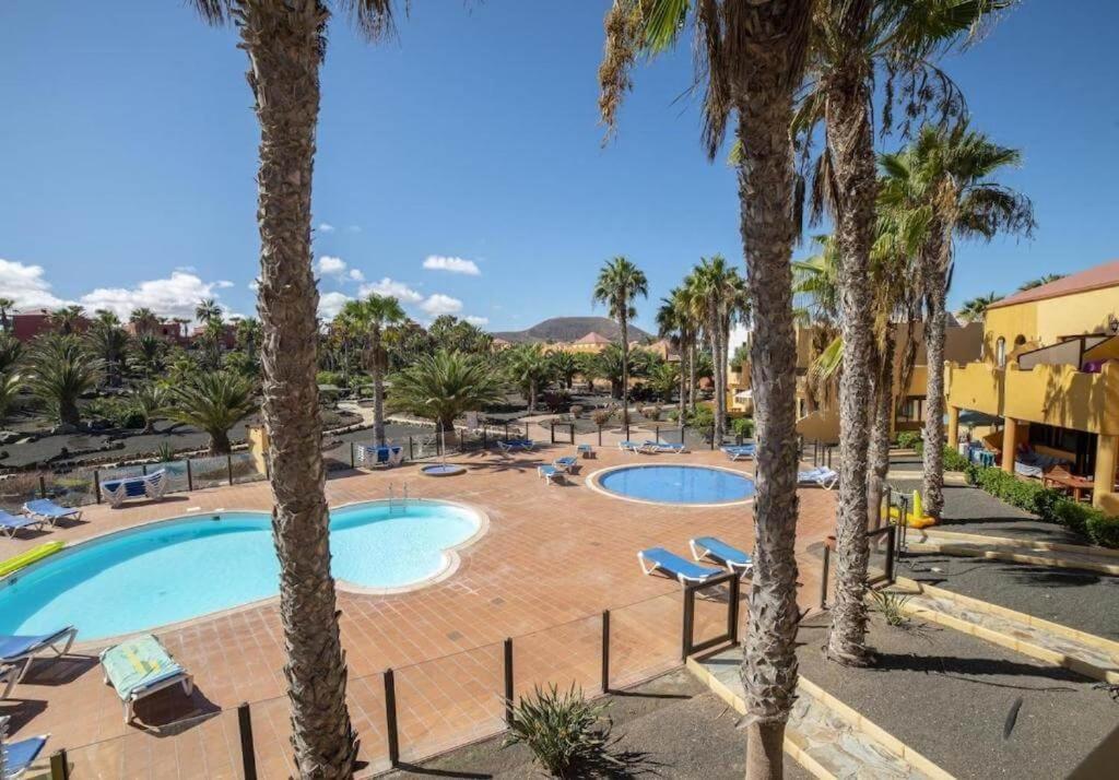 Lightbooking Oasis Royal Corralejo F311 Exteriör bild