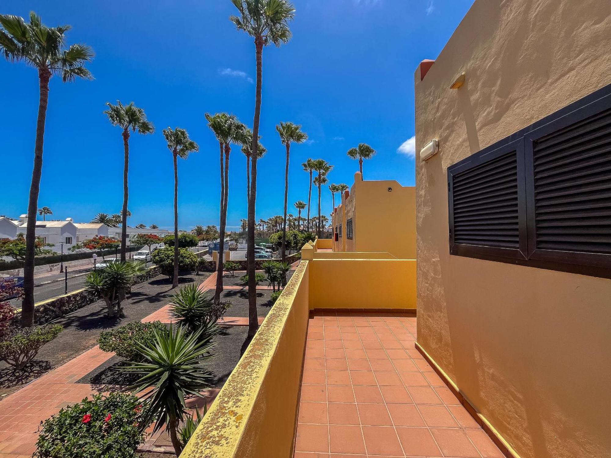 Lightbooking Oasis Royal Corralejo F311 Exteriör bild